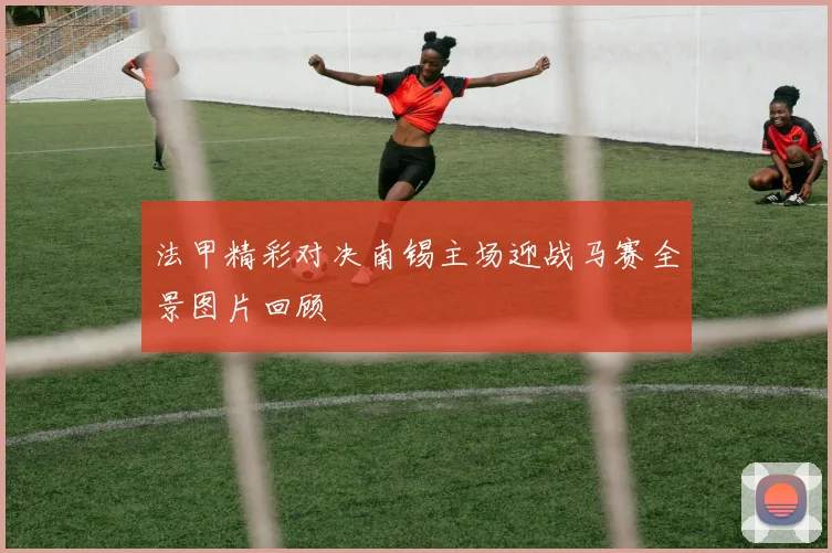 法甲精彩对决南锡主场迎战马赛全景图片回顾