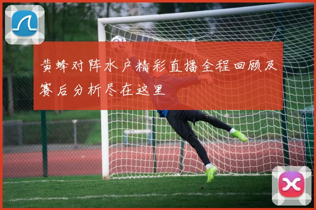 黄蜂对阵水户精彩直播全程回顾及赛后分析尽在这里