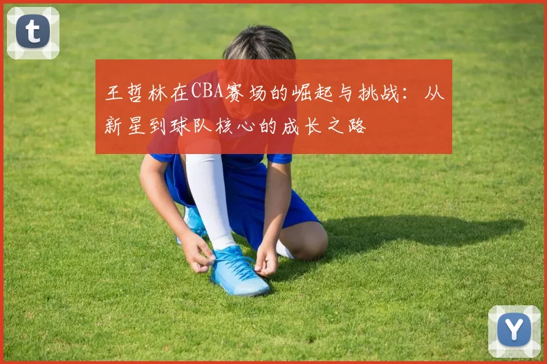 王哲林在CBA赛场的崛起与挑战：从新星到球队核心的成长之路