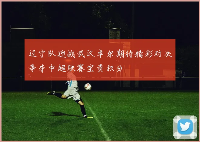 辽宁队迎战武汉卓尔期待精彩对决争夺中超联赛宝贵积分