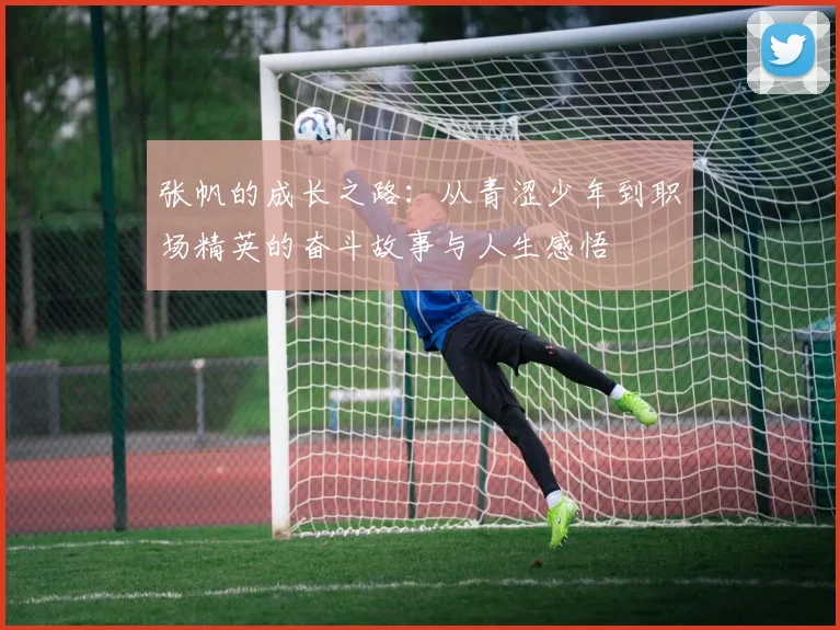 张帆的成长之路：从青涩少年到职场精英的奋斗故事与人生感悟