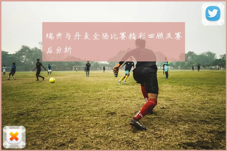 瑞典与丹麦全场比赛精彩回顾及赛后分析