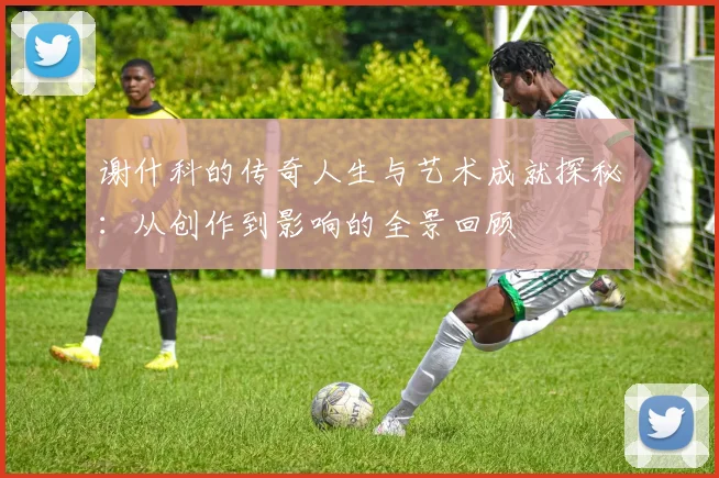 谢什科的传奇人生与艺术成就探秘：从创作到影响的全景回顾
