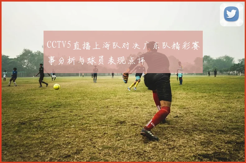 CCTV5直播上海队对决广东队精彩赛事分析与球员表现点评
